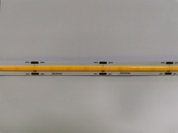 1491896_2
